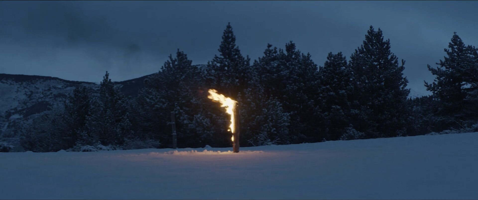 Capture d’écran 2026-02-23 à 12.19.13